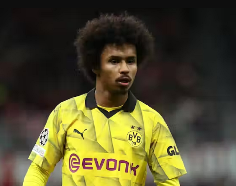 fan-dortmund